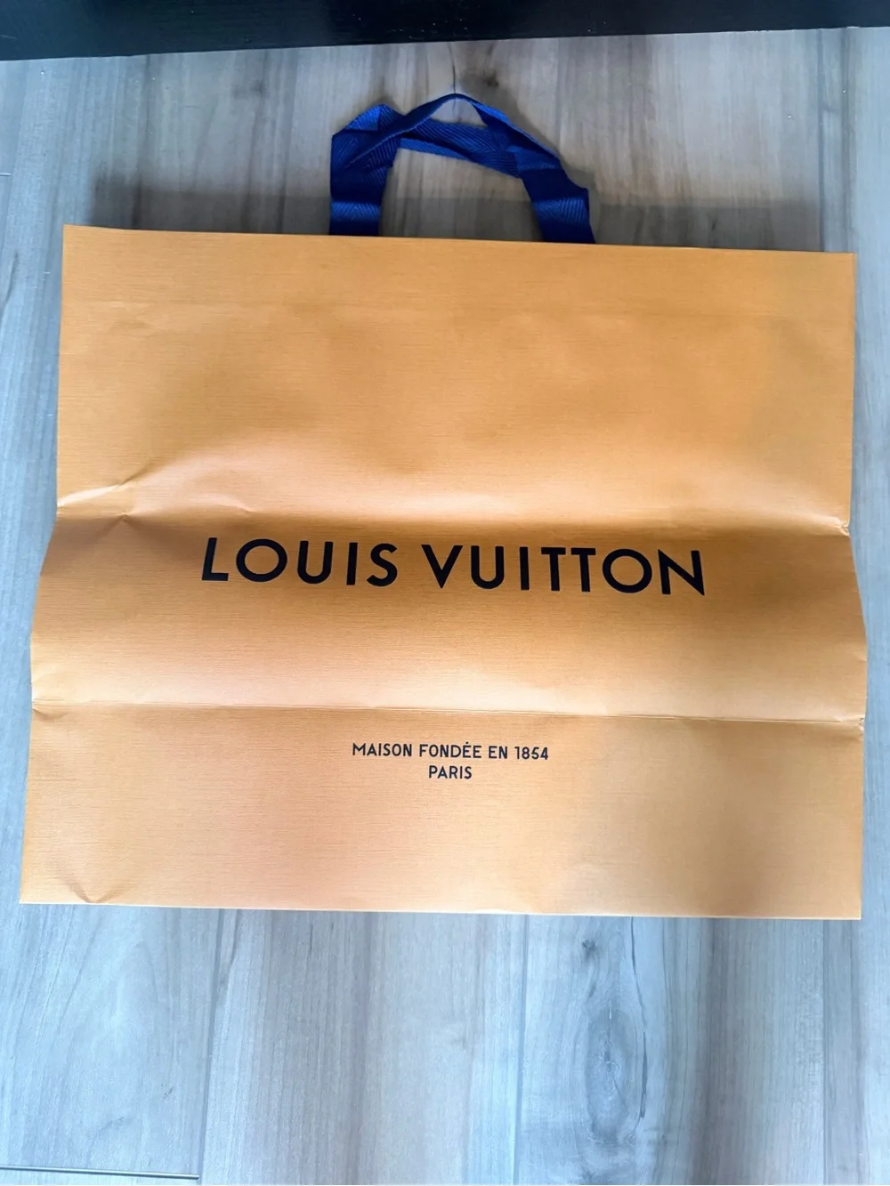 Louis Vuitton Paper Bag